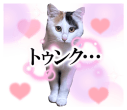 766504446