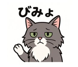 766520806