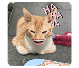 766537472