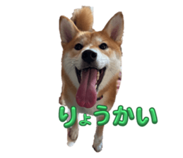 766537544