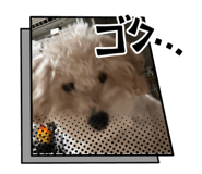 766538028