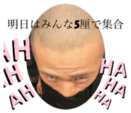 766539618