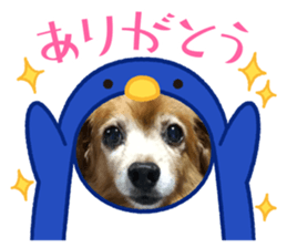 766540662