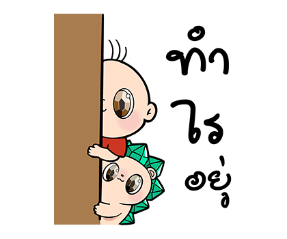 ลายที่ 24