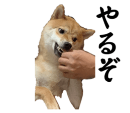 766549328