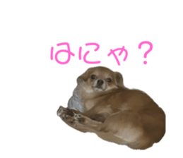 766555415