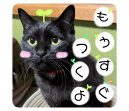 766556253