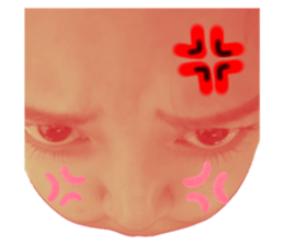 766556494
