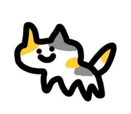 766559962