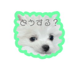 766560100
