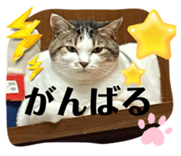 766560180