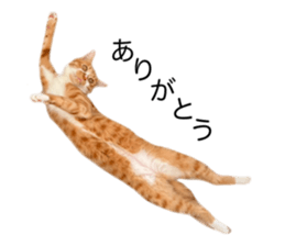 766560691
