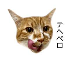 766560692