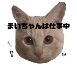 766561114