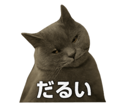 766562218