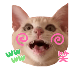 766568861