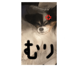 766569865
