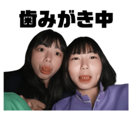 766575815