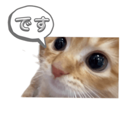 766579675