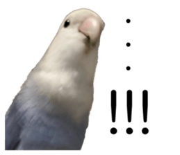 766581289