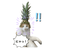 766582266