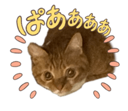 766583257