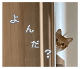 766583259