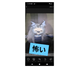 766584440