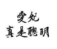 76658715