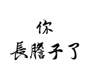 76658720