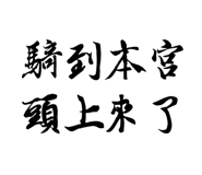 76658721