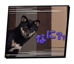 766588147