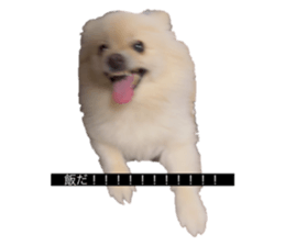 766588499