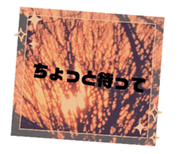 766595388