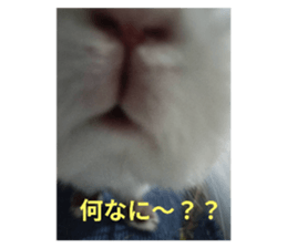 766596019