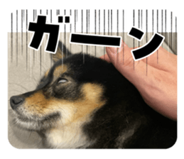 766596209