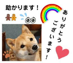 766596305