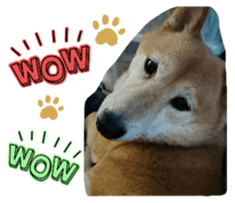 766596314