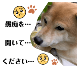 766596317