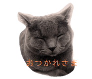 766600061