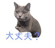 766600064