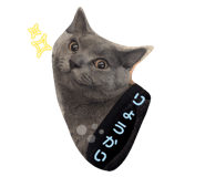 766600065