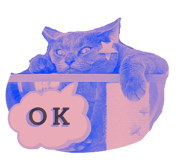 766600067