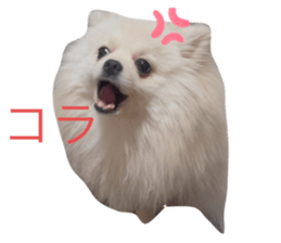 766606869
