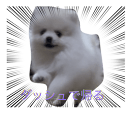 766606876