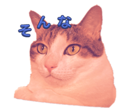 766610687
