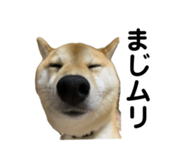 766611626