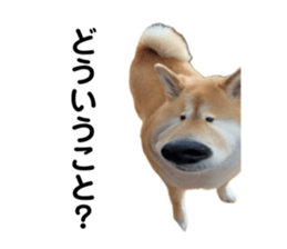 766611627