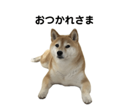 766611631