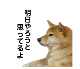 766611632